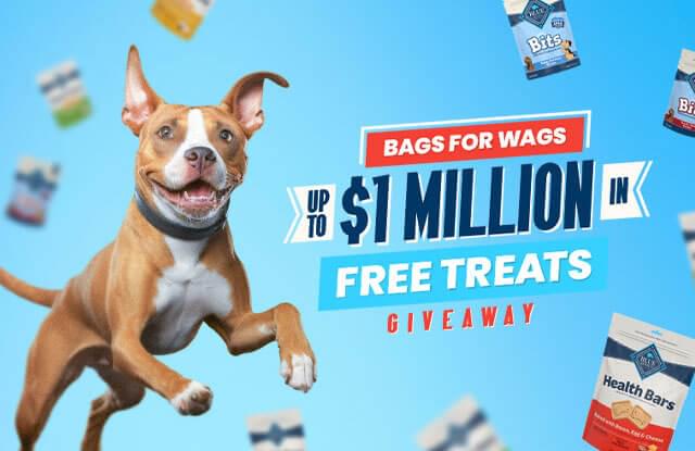 Bags4Wags Email Header